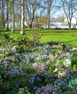 Bezoek de Botanische Tuin in Delft